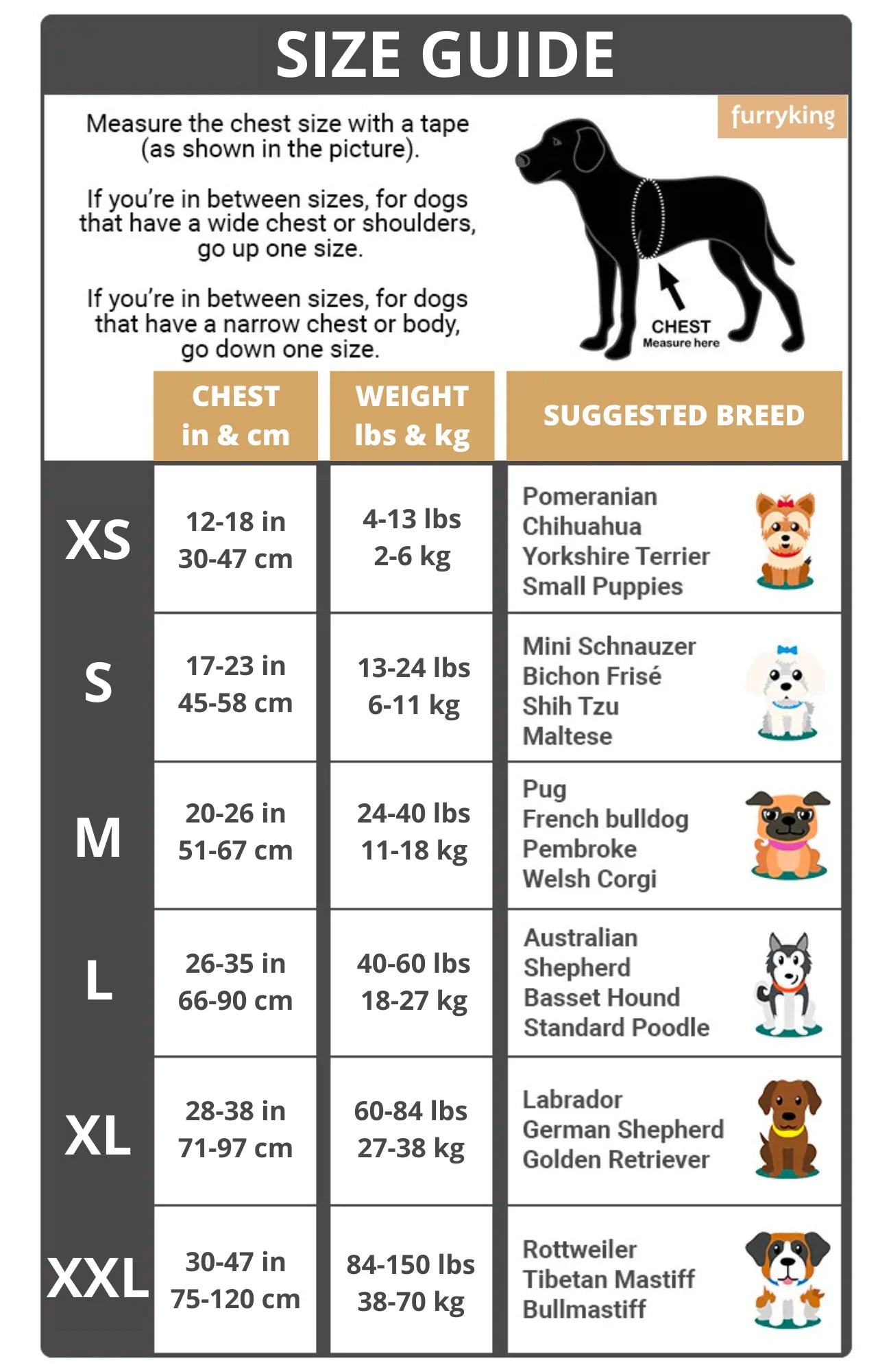 Shoplunvella dog harness lifestyle walking image