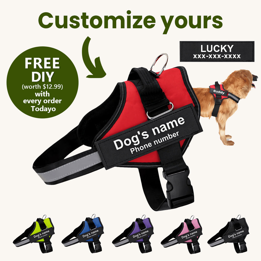 Shoplunvella red custom reflective no-pull dog harness