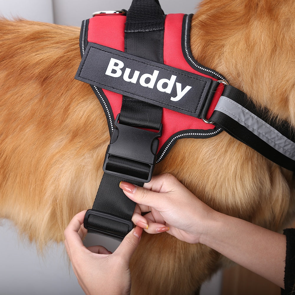 Shoplunvella no-pull harness feature image